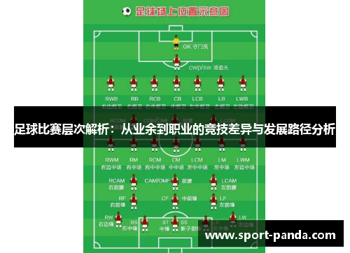 足球比赛层次解析：从业余到职业的竞技差异与发展路径分析